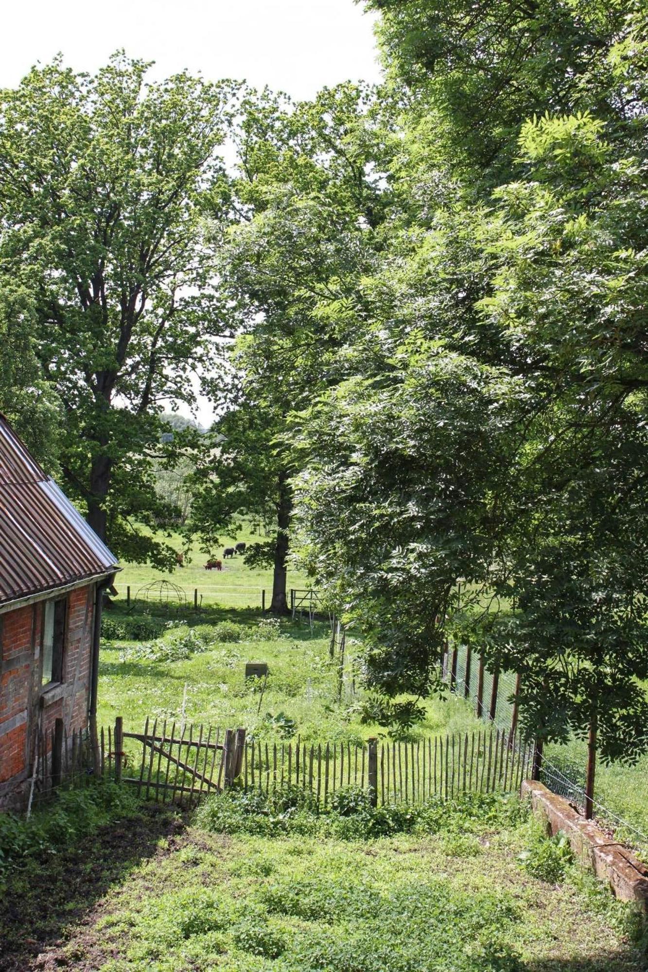 Ferienwohnung Auf Der Ruebenburg Barnsen المظهر الخارجي الصورة